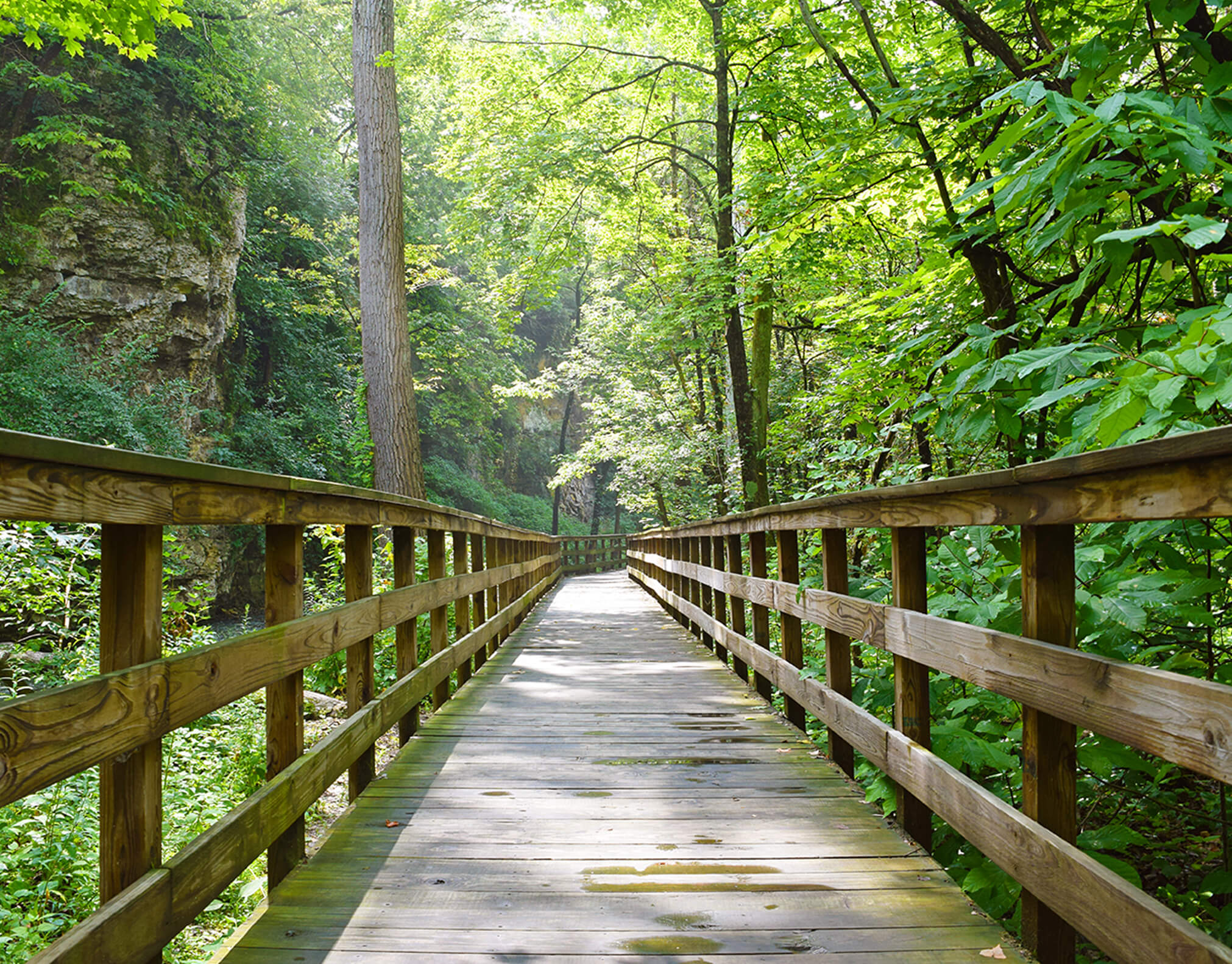 Glass Rock Trail - Flint Cooper